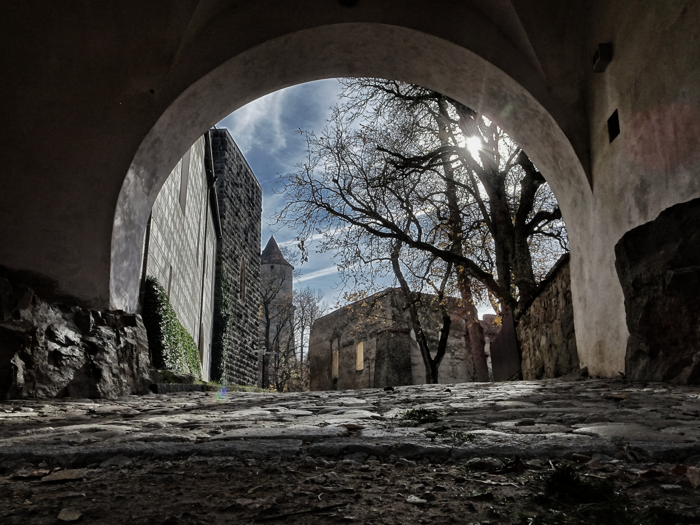 Burg Zvikov - Hrad Zvikov