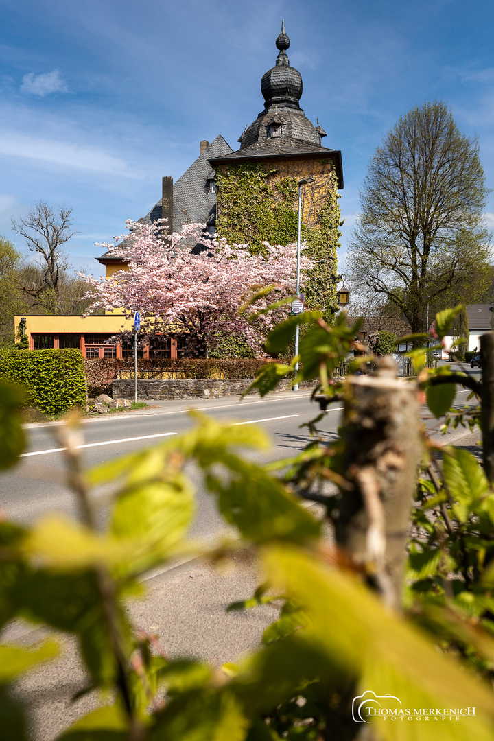 Burg Zweiffel