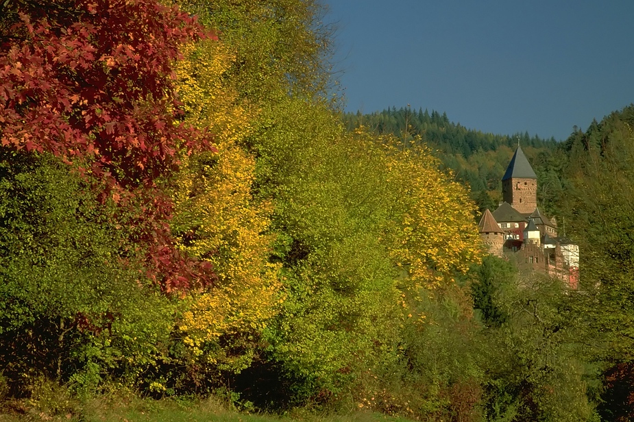 Burg Zwingenberg