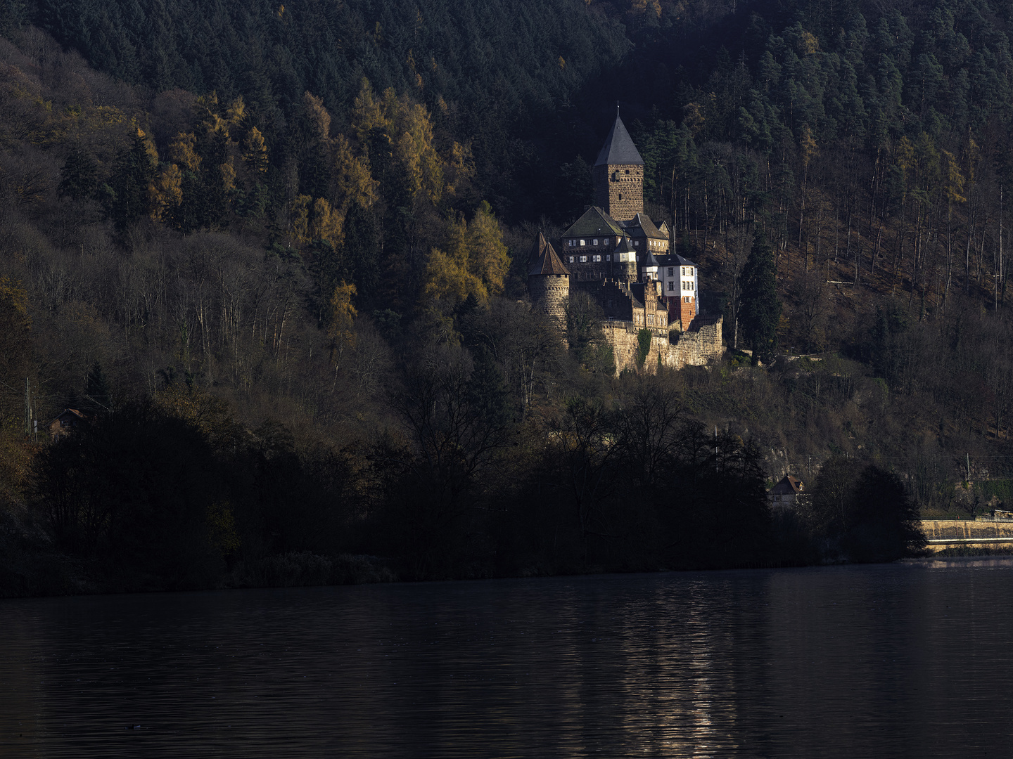 Burg Zwingenberg