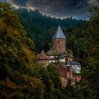 ~ Burg Zwingenberg ~