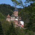 Burg Zwingenberg am Neckar