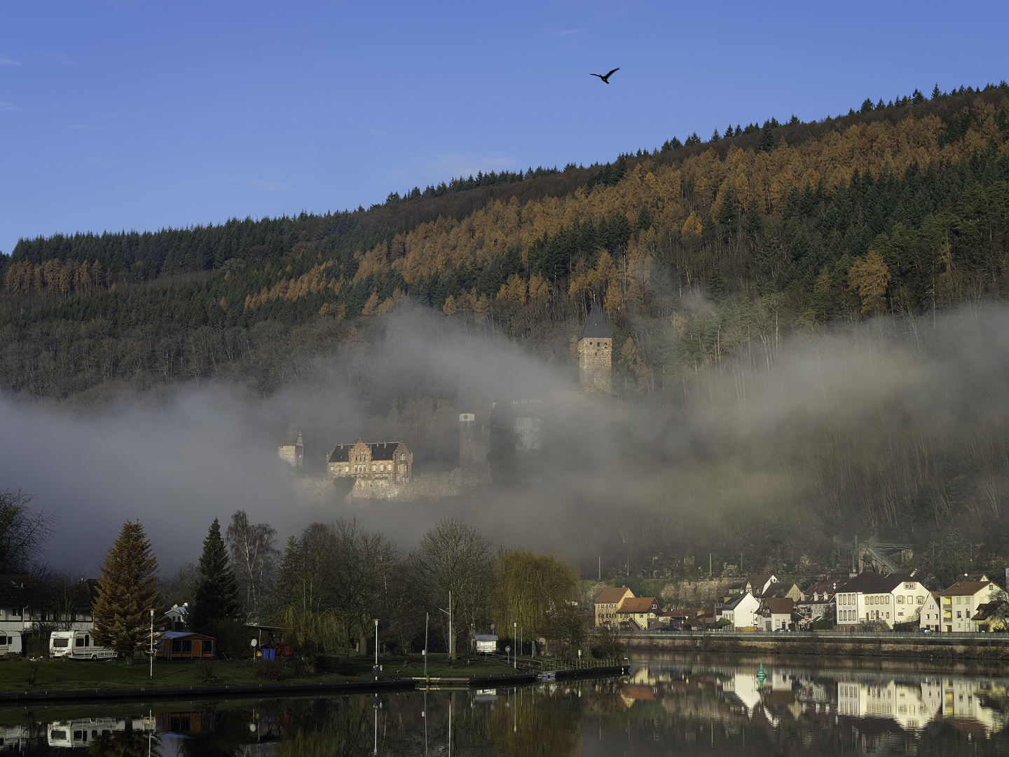 Burg Zwingenberg im Neckartal