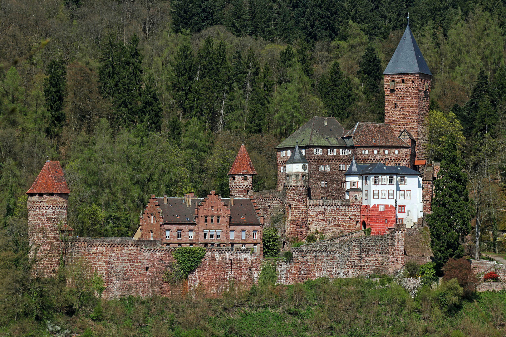 Burg Zwingenberg im Neckartal