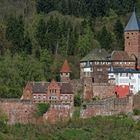 Burg Zwingenberg im Neckartal