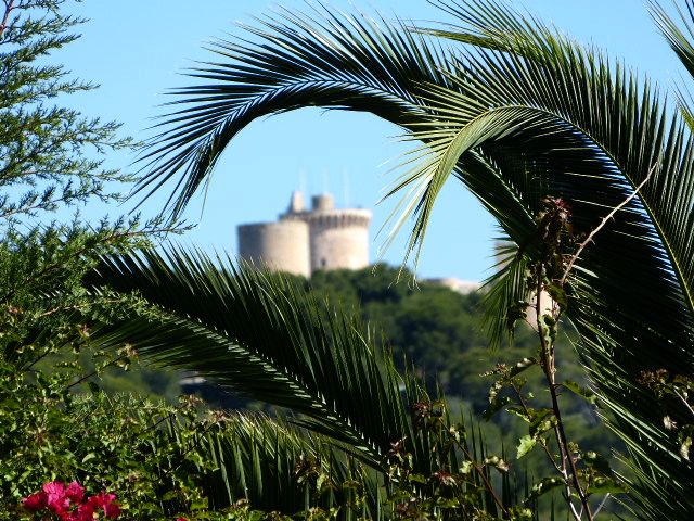 Burg zwischen Palmen