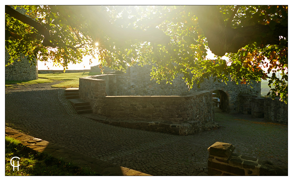 Burganlage Hohenburg Homberg