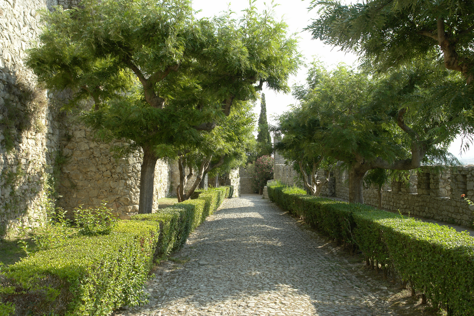 Burganlage Montemor-o-Velho in Portugal