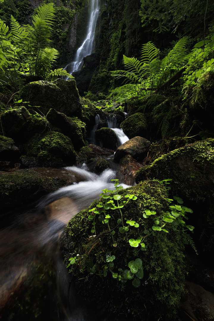 Burgbachwasserfall