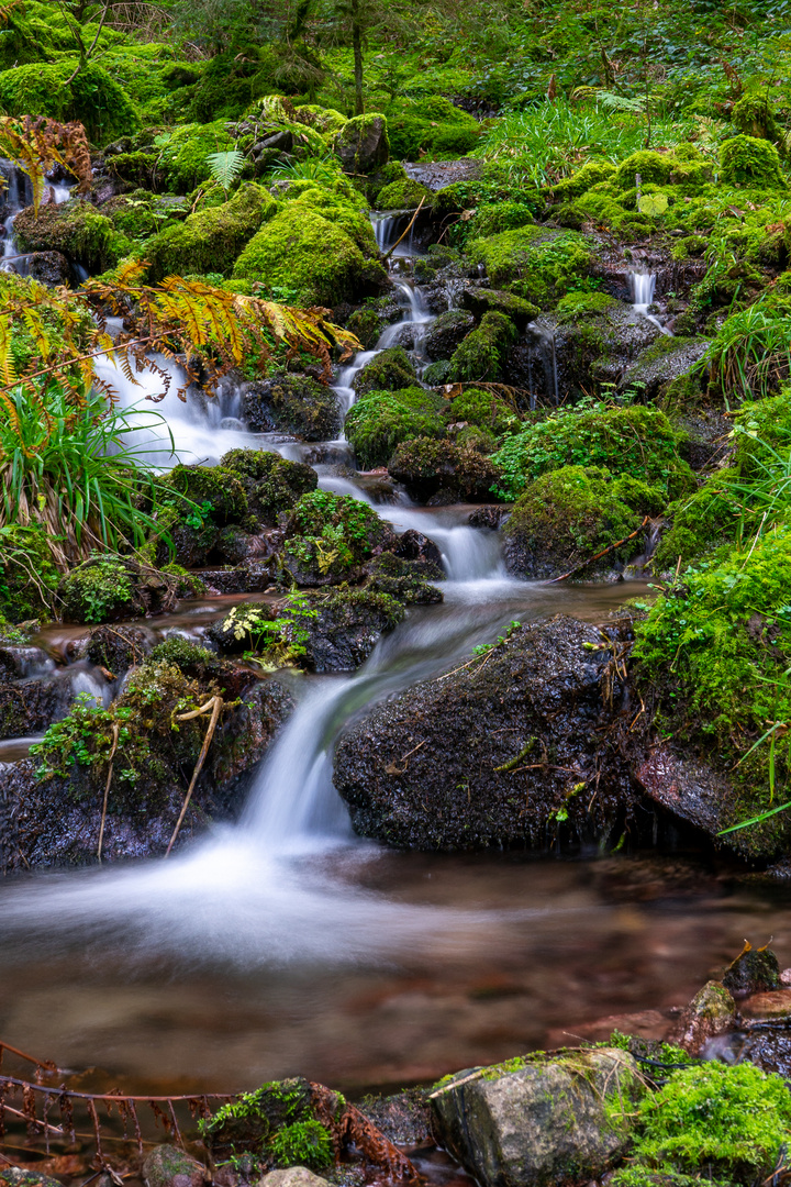 Burgbachwasserfall