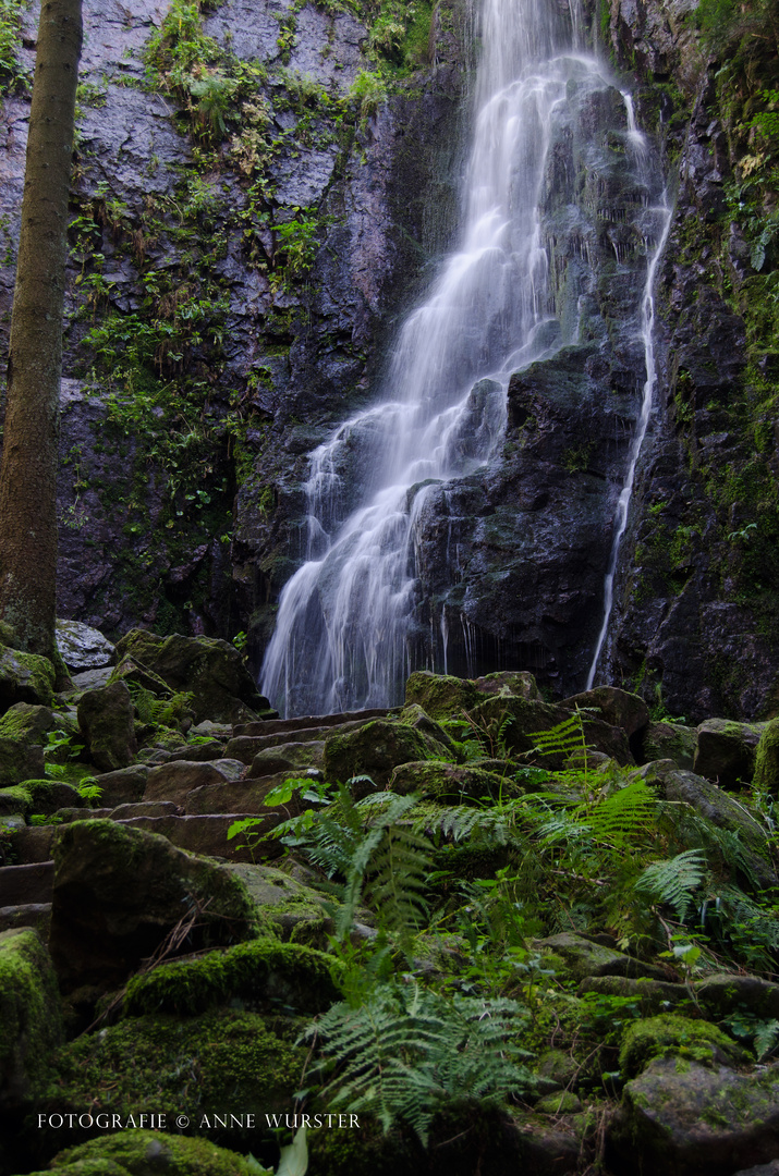 Burgbachwasserfall III