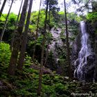 Burgbachwasserfall im Schwarzwald