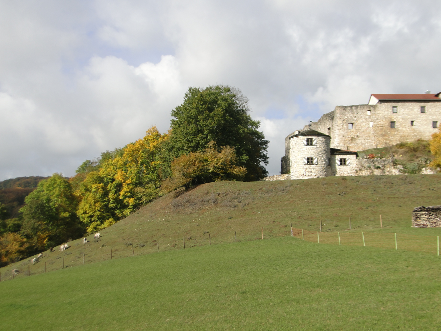 Burgberg in Mörnsheim