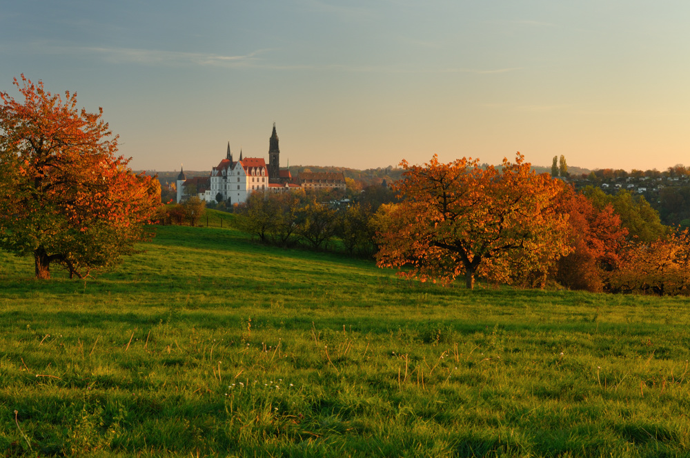 Burgberg Meißen