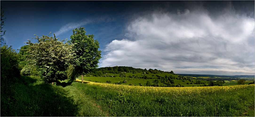 Burgbergblick