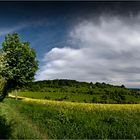 Burgbergblick