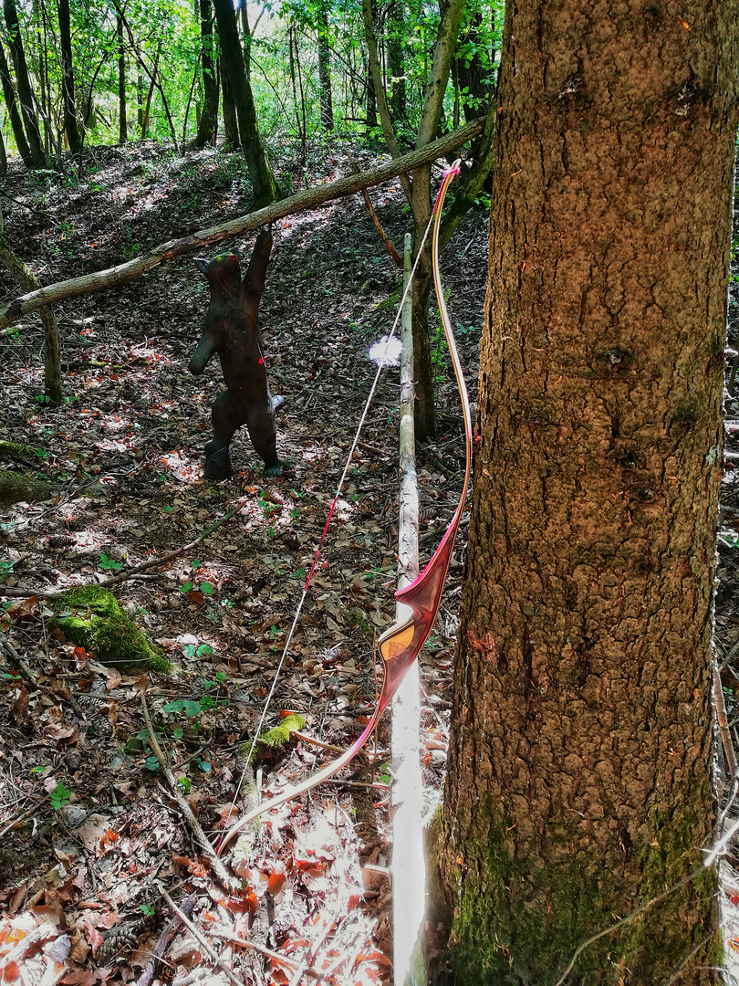 Burgbergparcours bei Eckartshausen