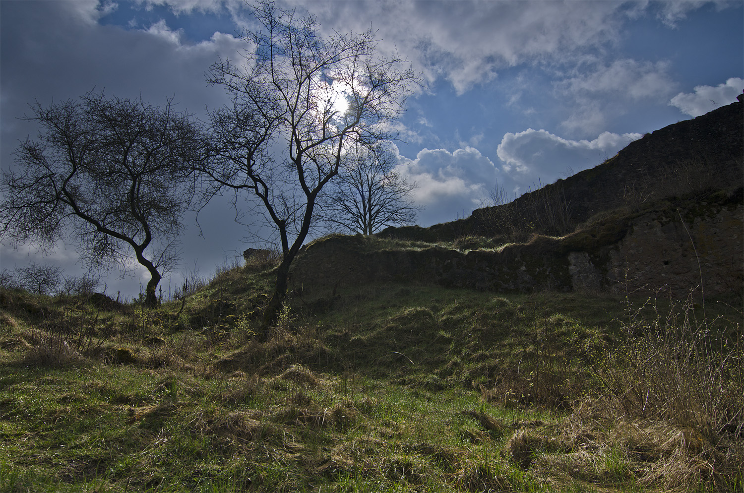 Burgbergweg