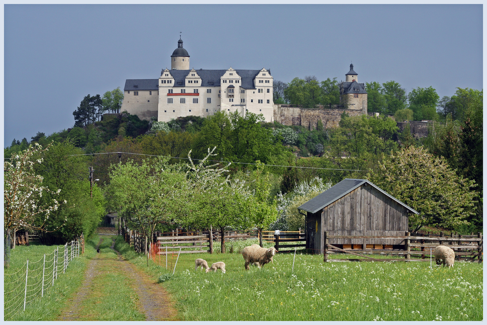 Burgblick (1)