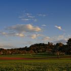 Burgblick