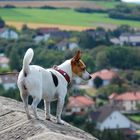 Burgblick