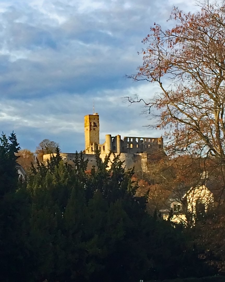 Burgblick