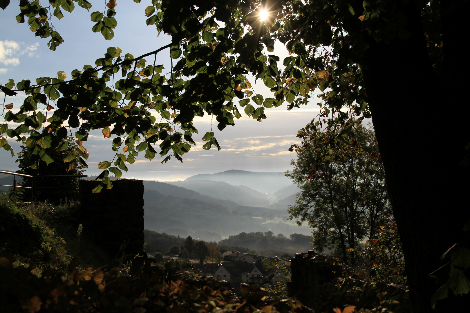 Burgblick