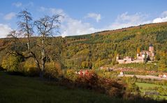 Burgblick