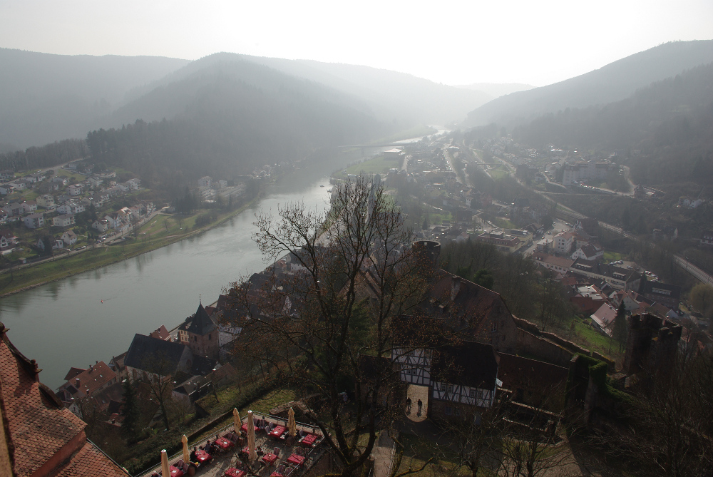 Burgblick