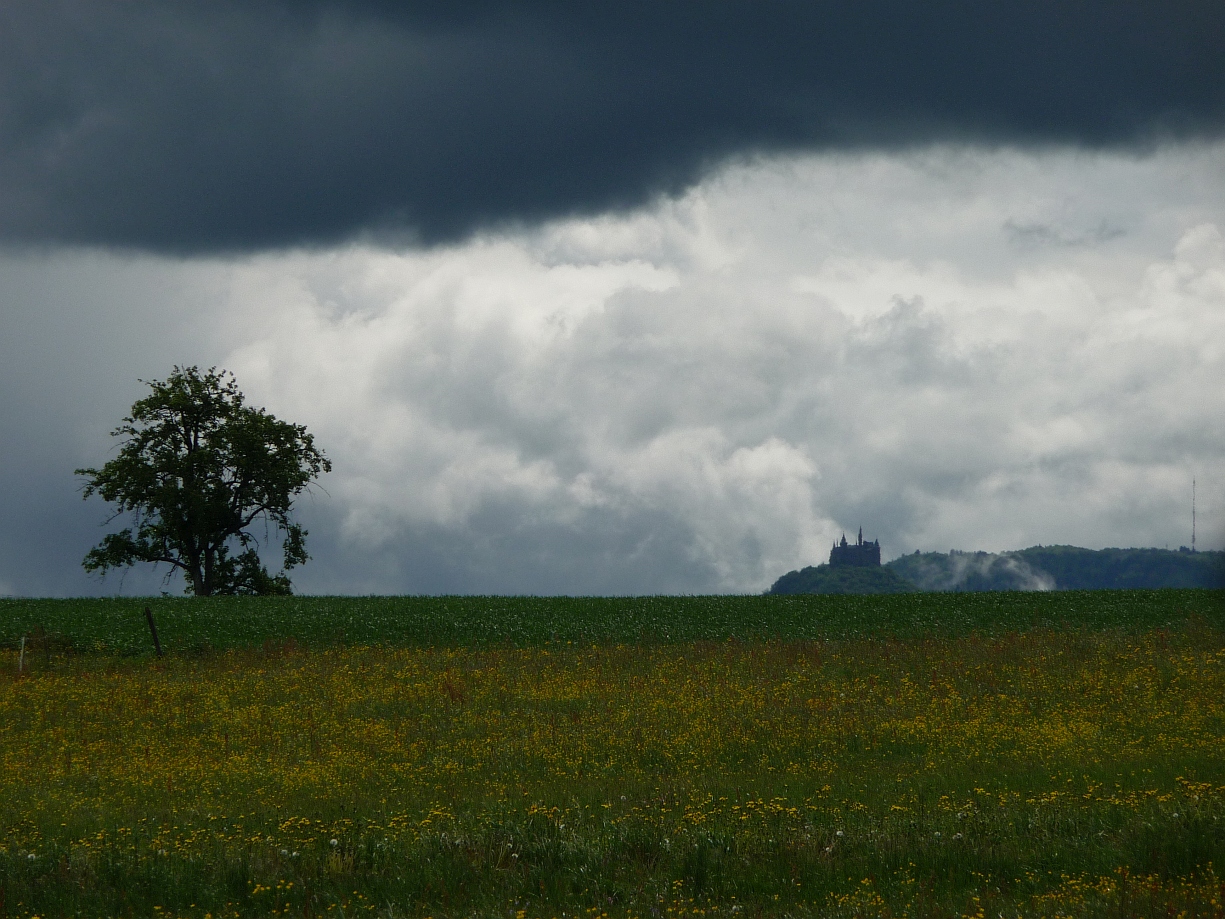 Burgblick