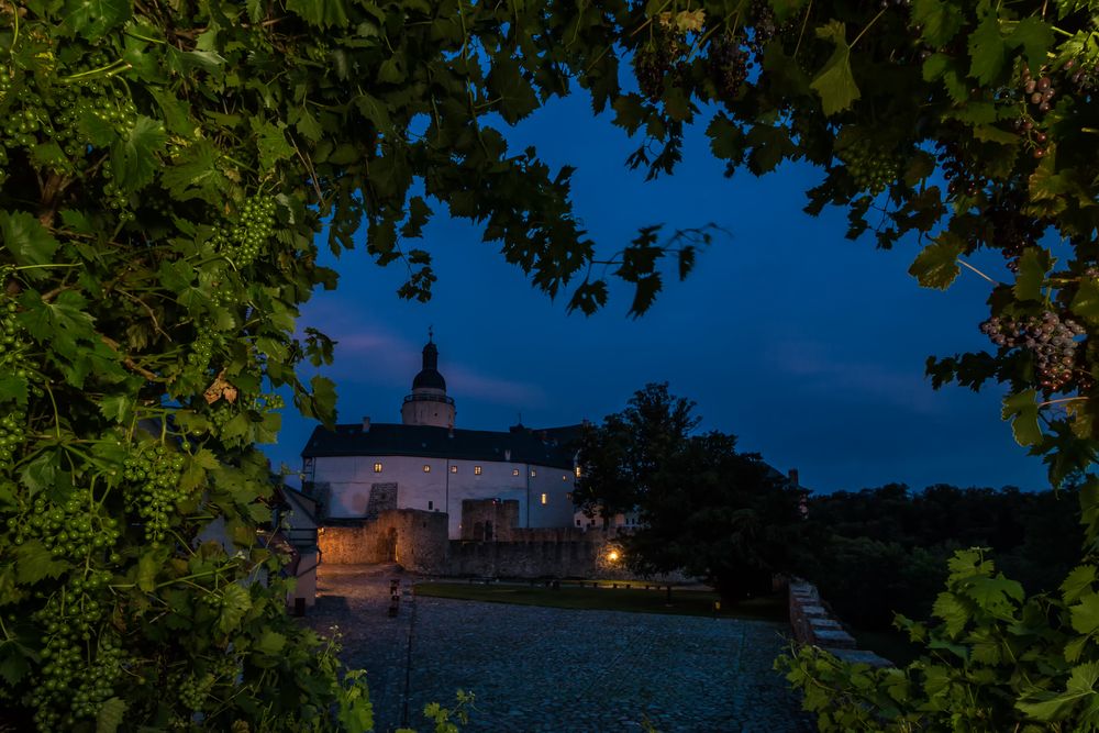 Burgblick