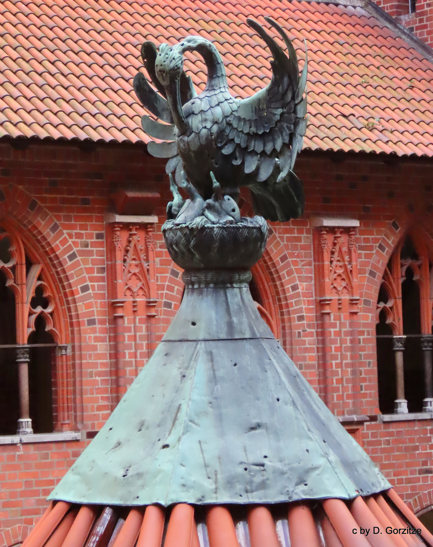 Burgbrunnen im Hochschloß von Malbork !