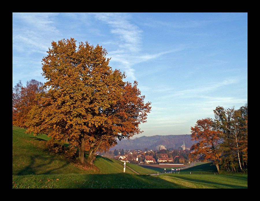 Burgdorf