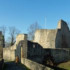 Burgen & Ruinen / Nippenburg