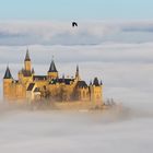 Burgen und Ruinen / Burg Hohenzollern