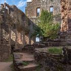 Burgen und Ruinen / Burgruine Zavelstein