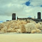 Burgen und Schlösser in IR III