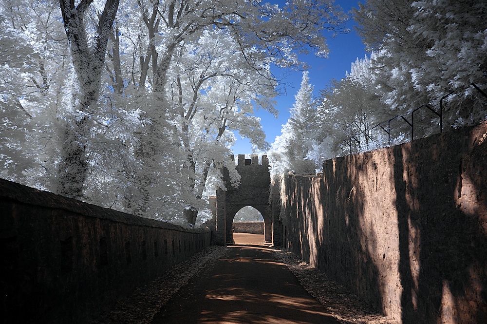 Burgen und Schlösser in IR XVI