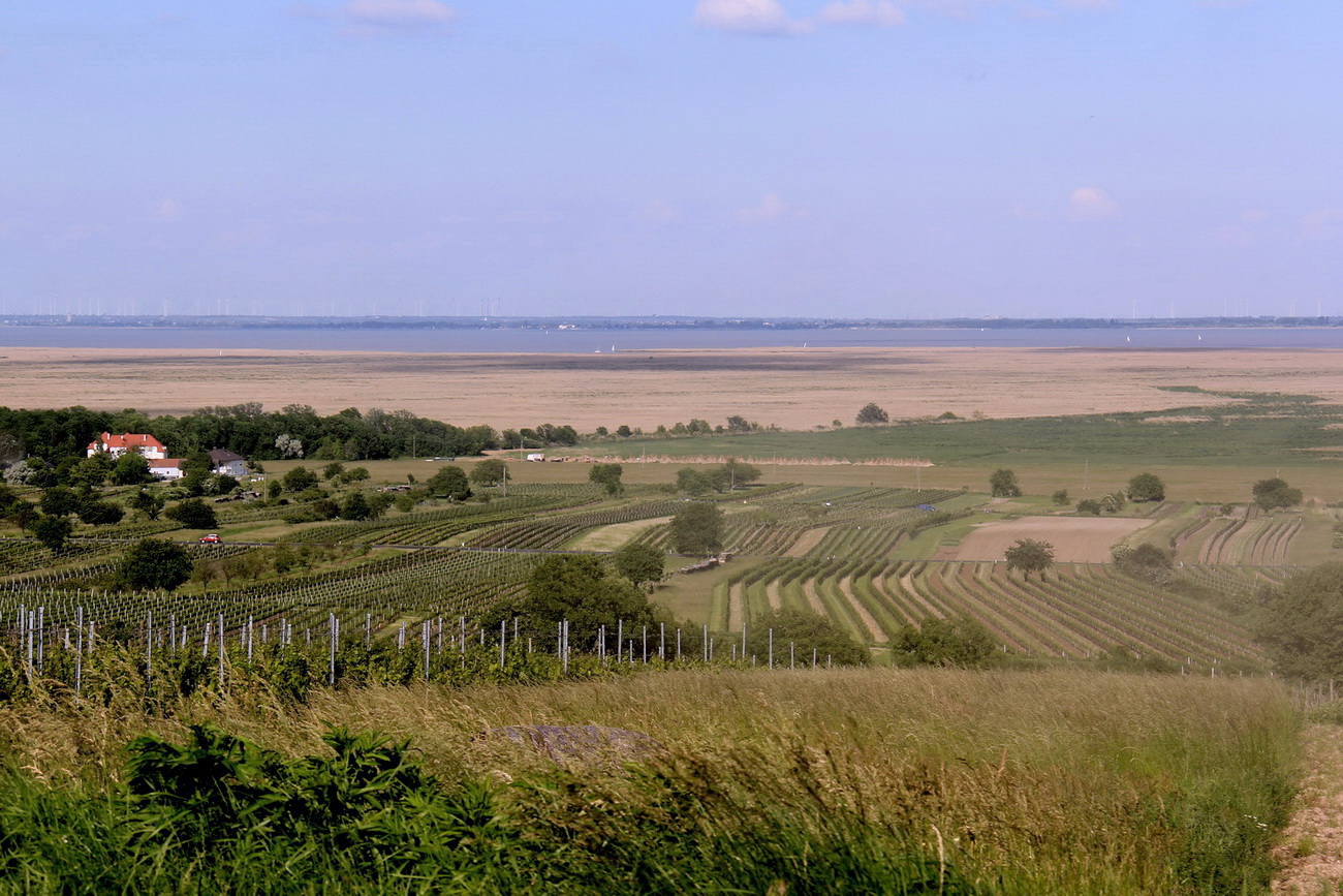 Burgenländische Landschaft