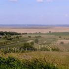 Burgenländische Landschaft