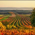 burgenländischer Herbst