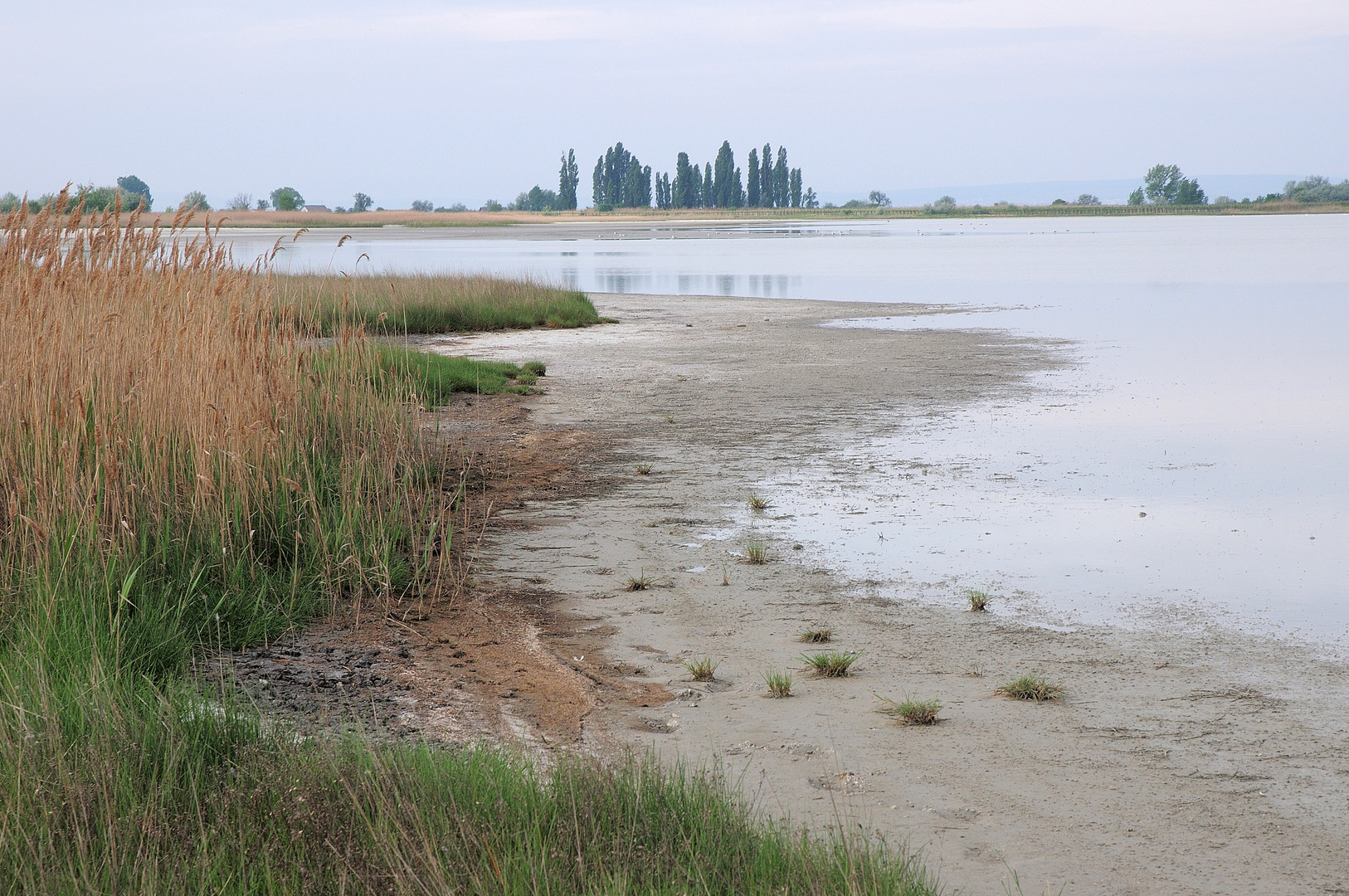 Burgenländischer Seewinkel