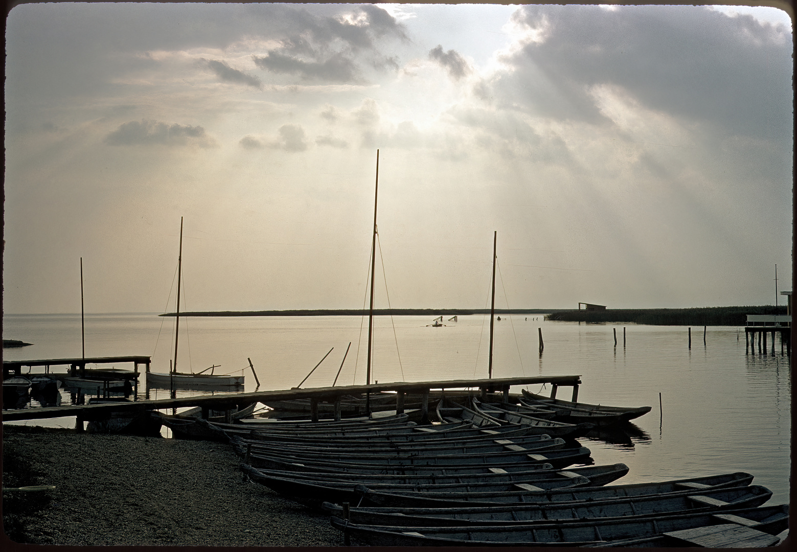 Burgenland Neusiedler See 1956