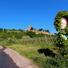 Burgenlandschaft bei Wachenheim