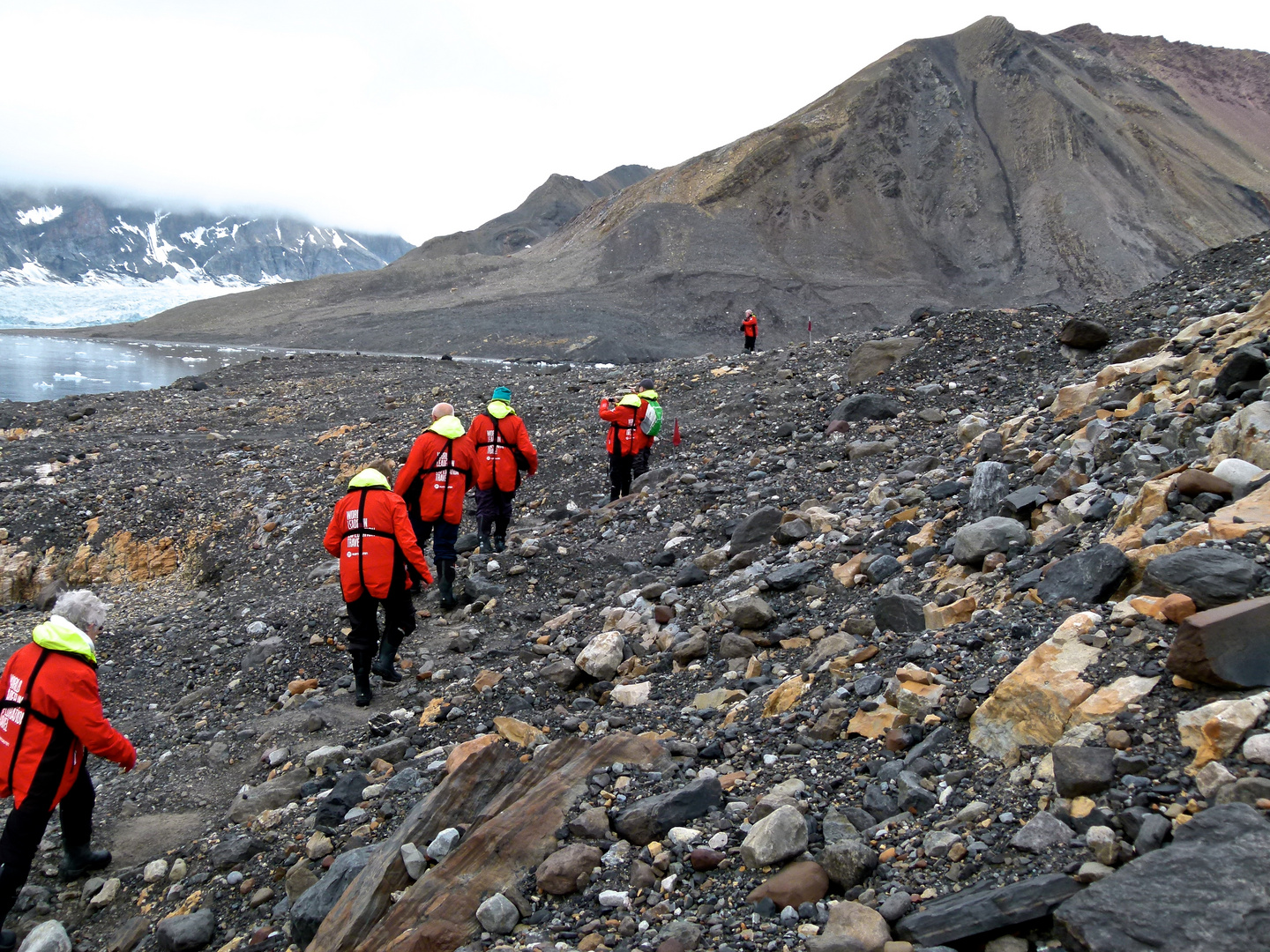 Burgerbukta, Steinwüste Spitzbergen, Svalbard