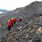 Burgerbukta, Steinwüste Spitzbergen, Svalbard