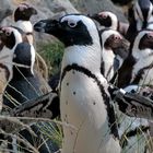 Burgers Zoo Arnheim