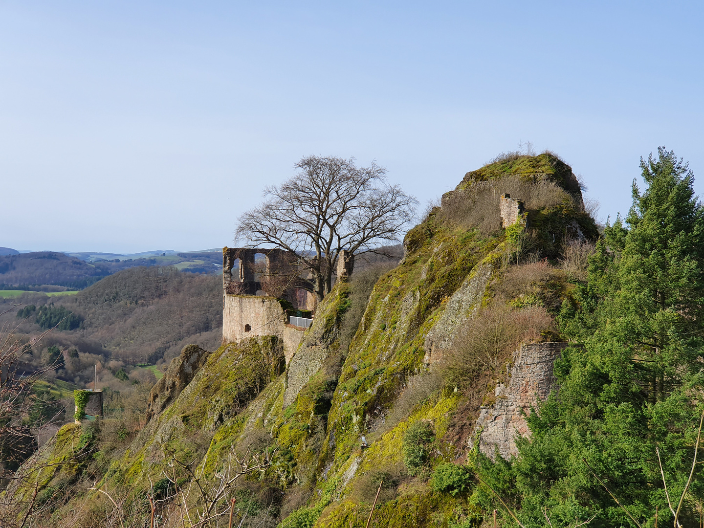 BurgFalkenstein