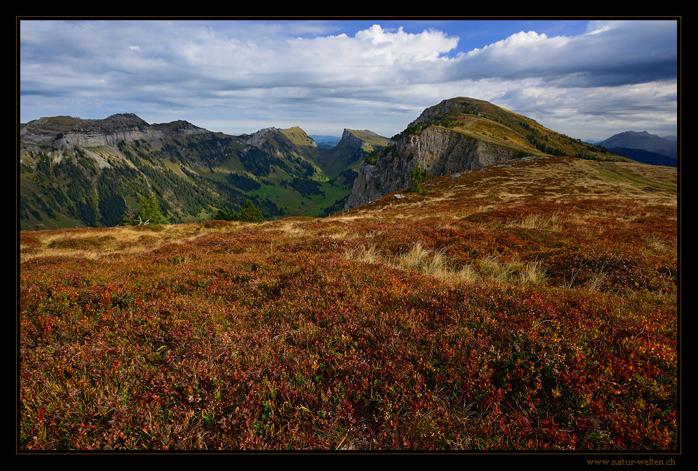 Burgfeldstand