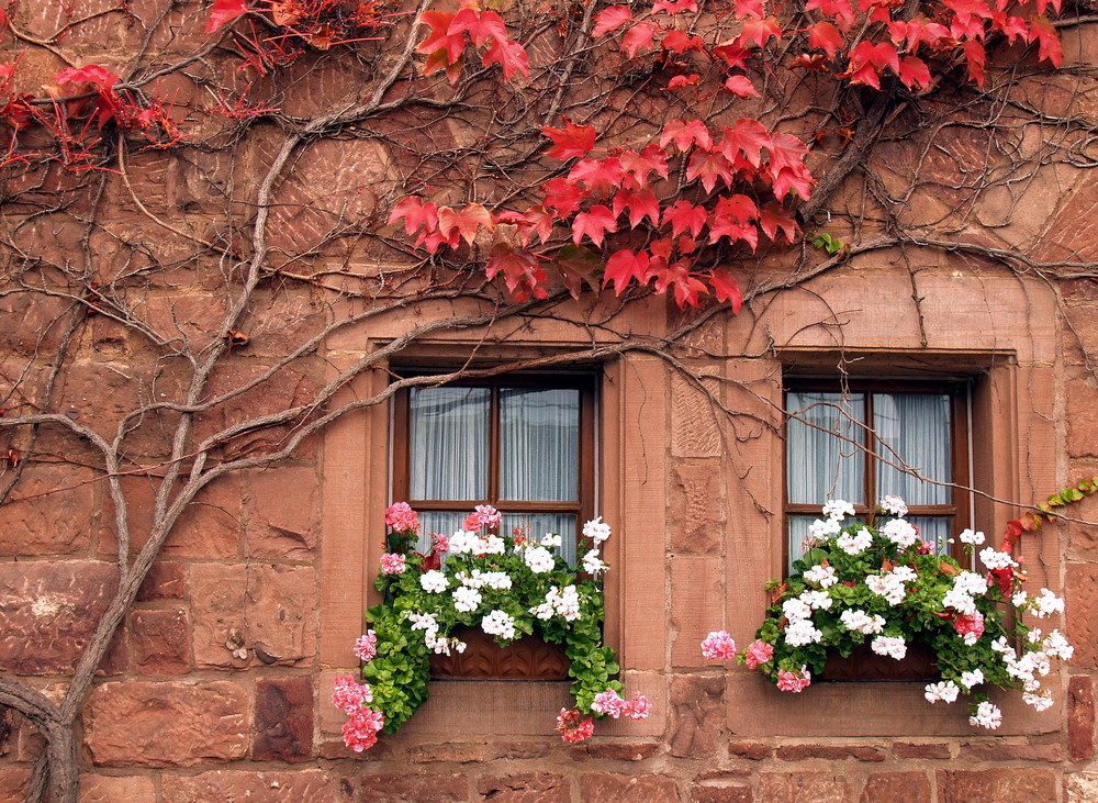 Burgfenster im Herbst